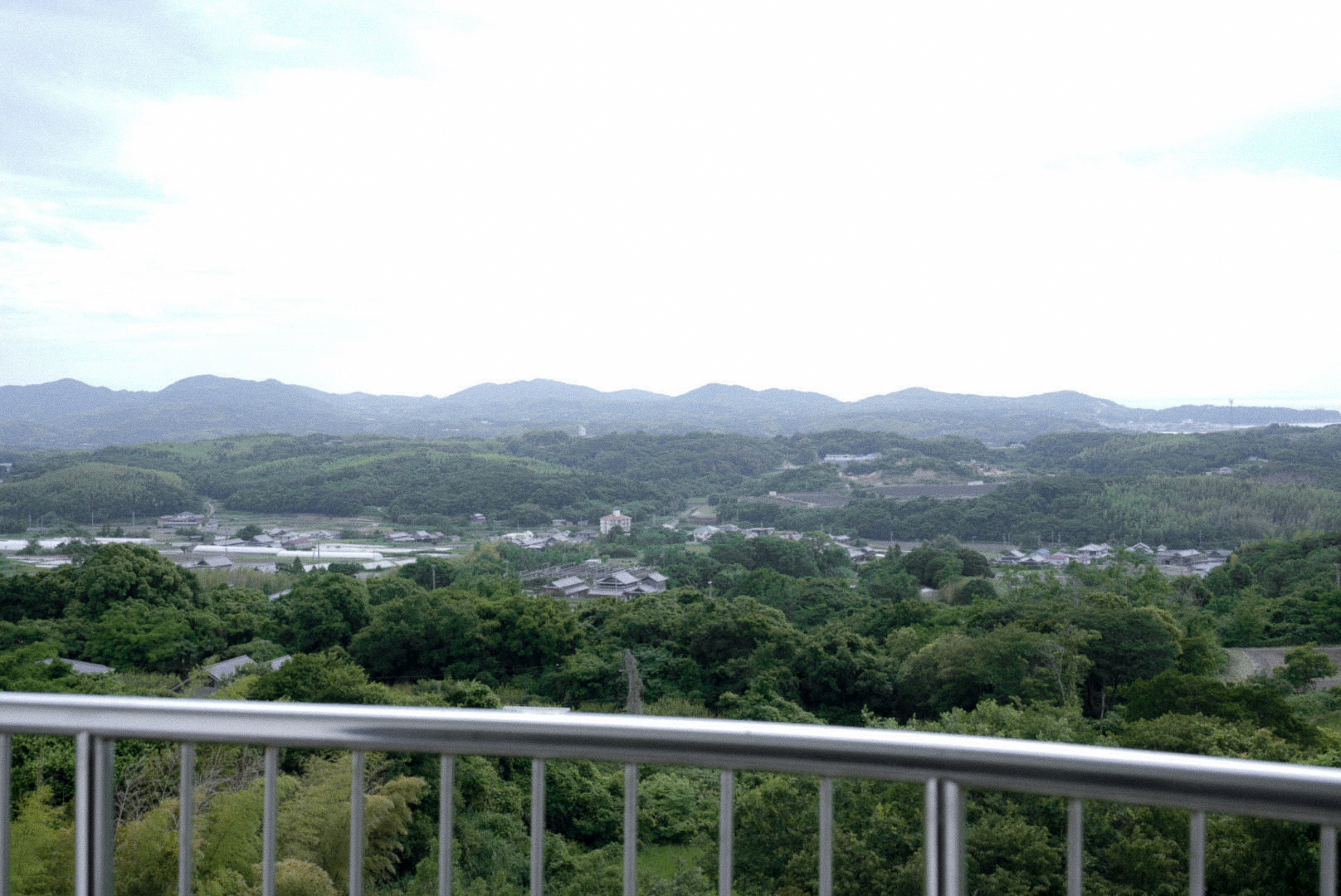 view
